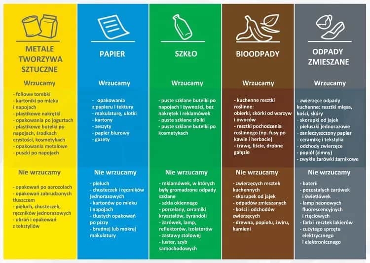 Gdzie wyrzucić tubkę po paście? Żółty czy czarny kosz? Ekspert radzi